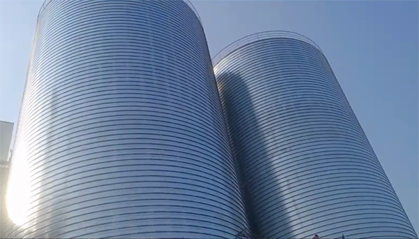 利国镇2座混凝土高架卷板仓